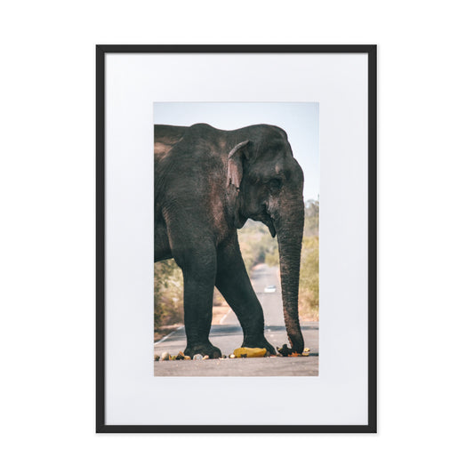 Dumbo crossing by