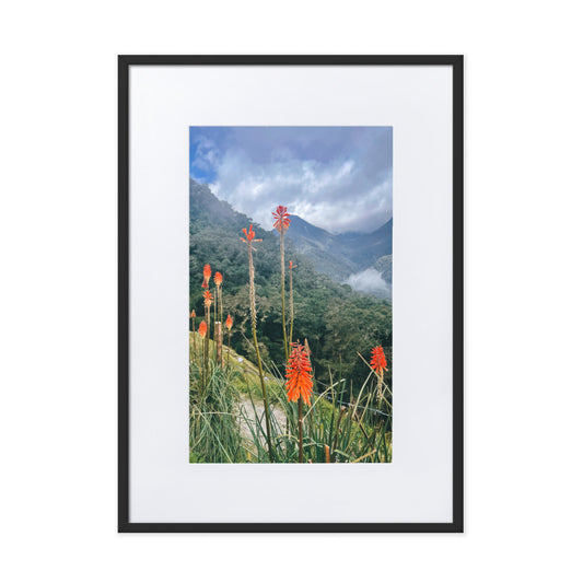 Wildfire Flowers