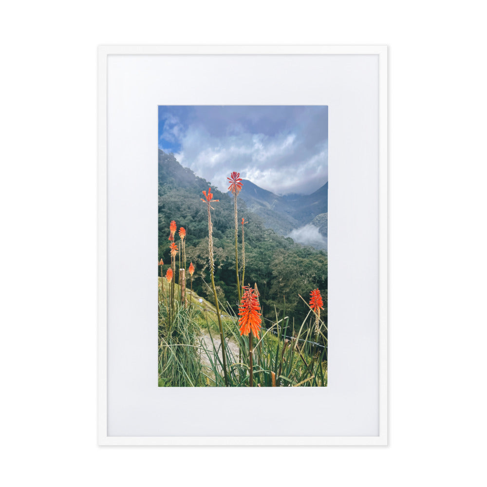Wildfire Flowers