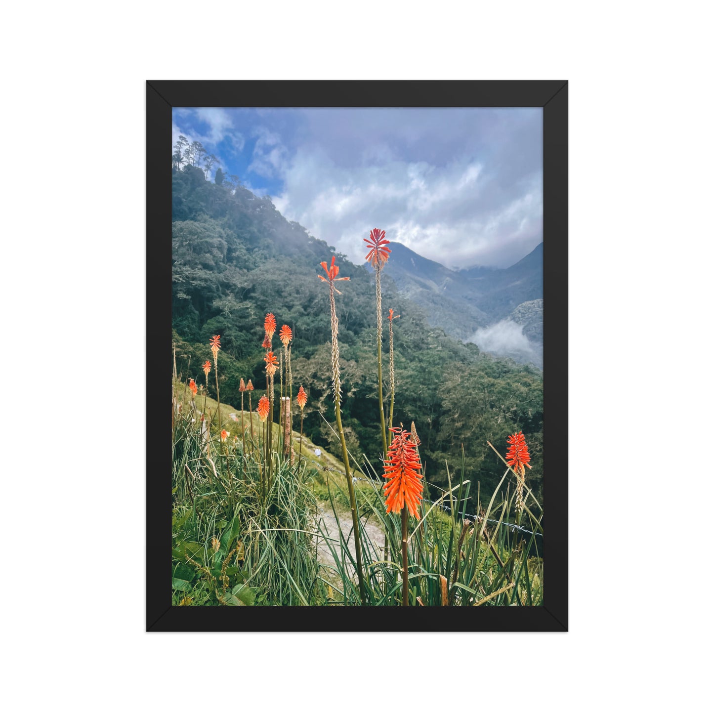 Wildfire Flowers