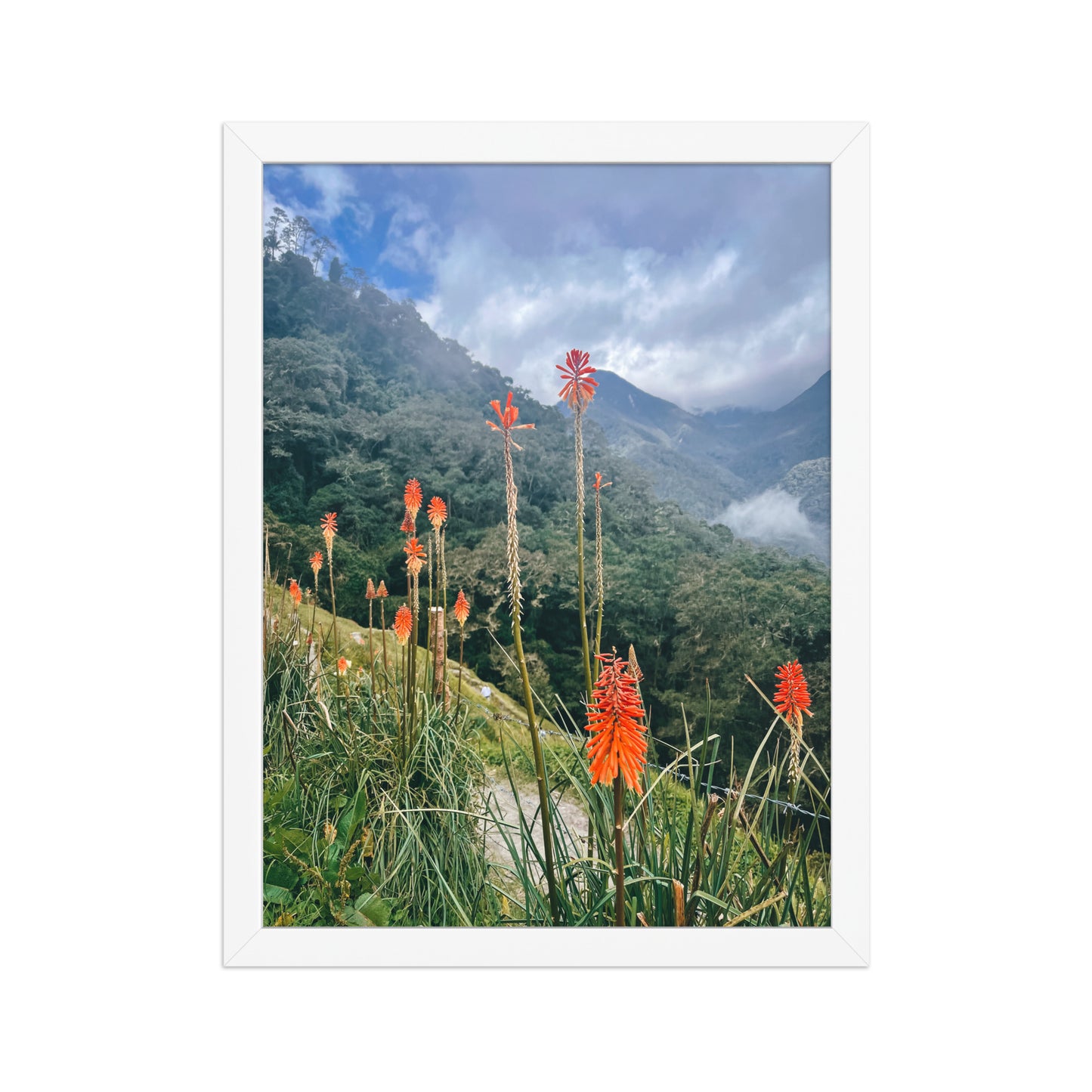 Wildfire Flowers