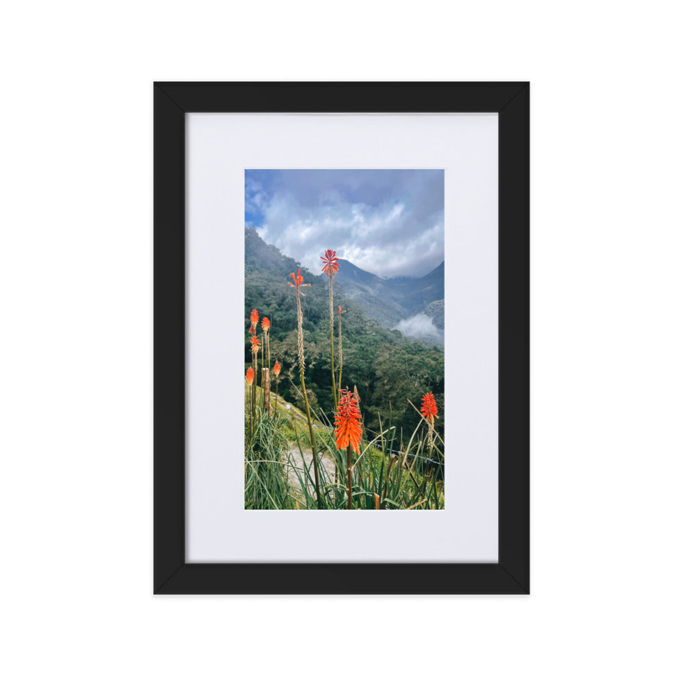 Wildfire Flowers