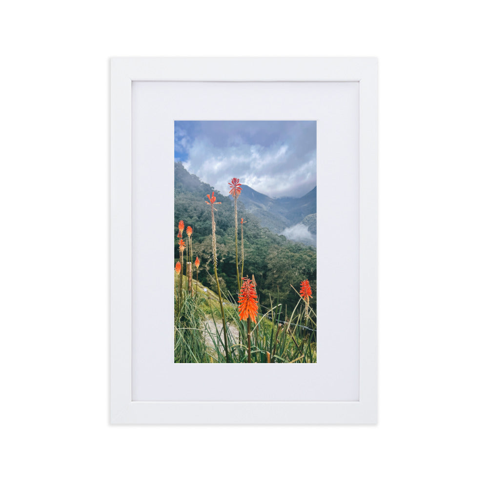 Wildfire Flowers