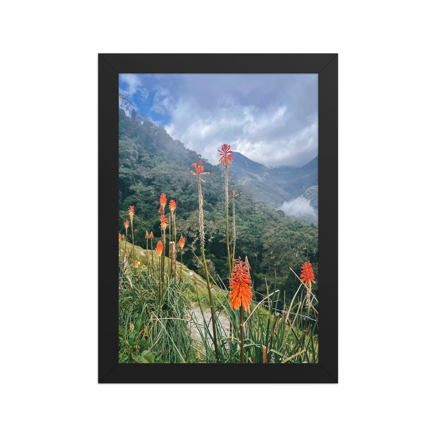 Wildfire Flowers