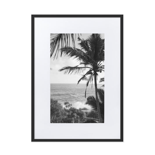 Sea Palms Harmony