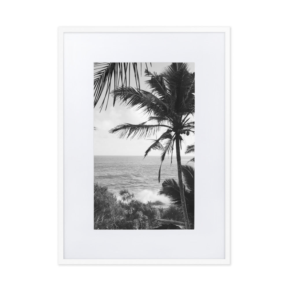 Sea Palms Harmony