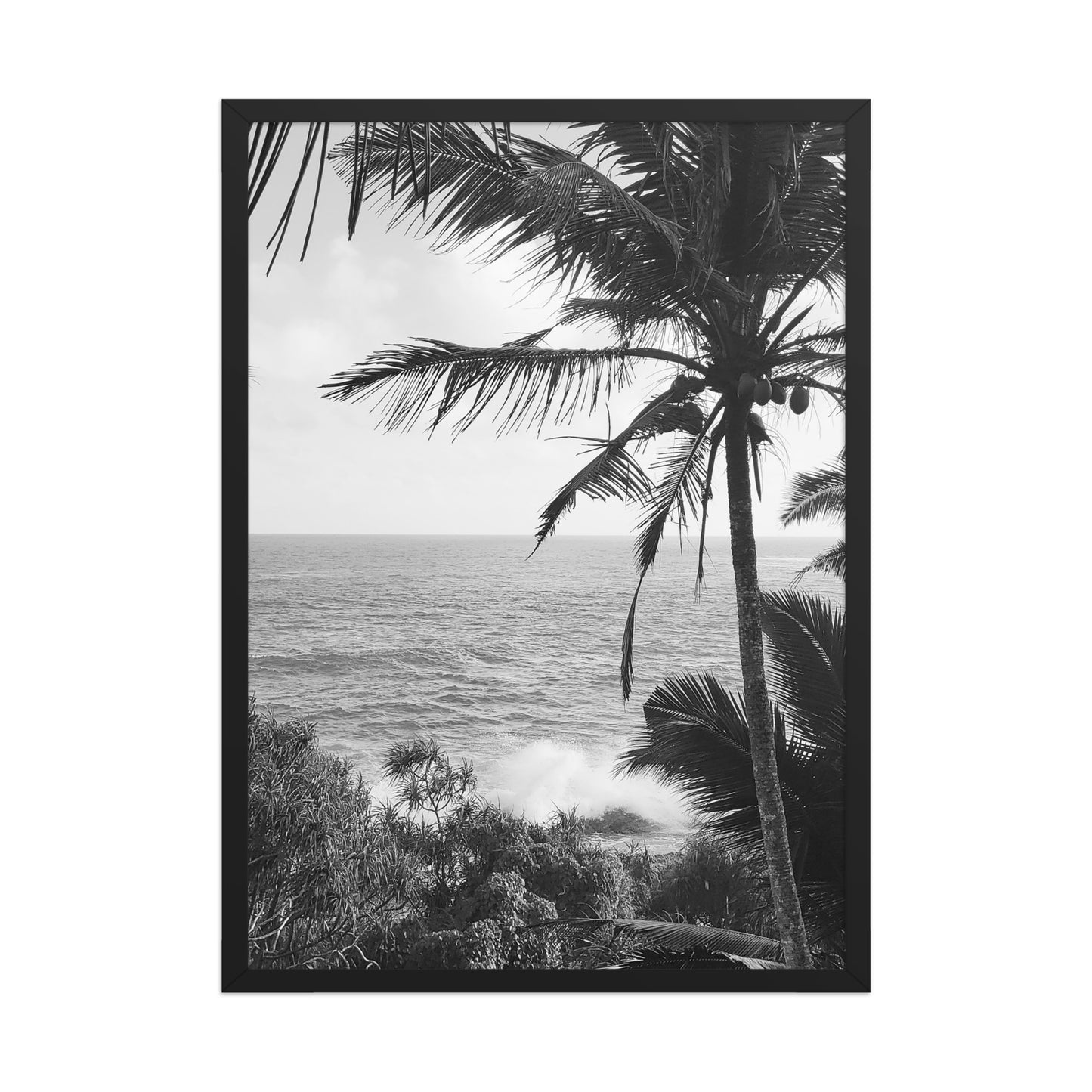 Sea Palms Harmony
