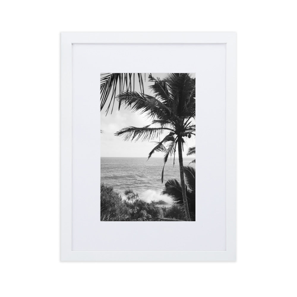 Sea Palms Harmony