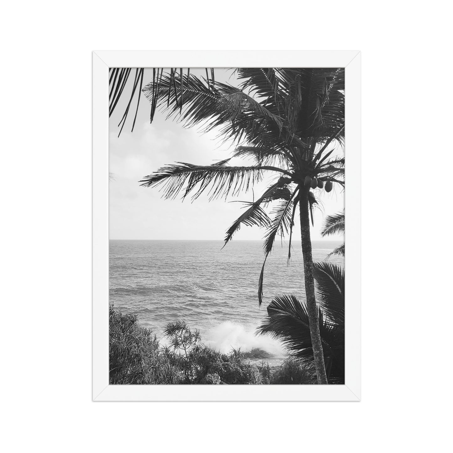 Sea Palms Harmony