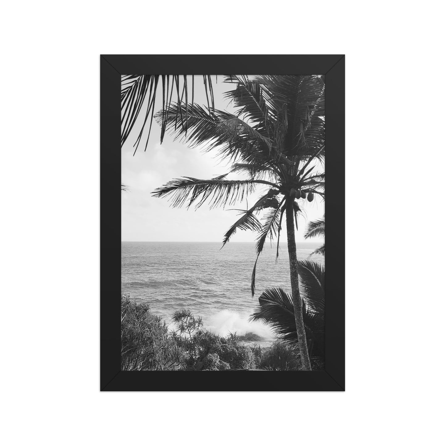 Sea Palms Harmony