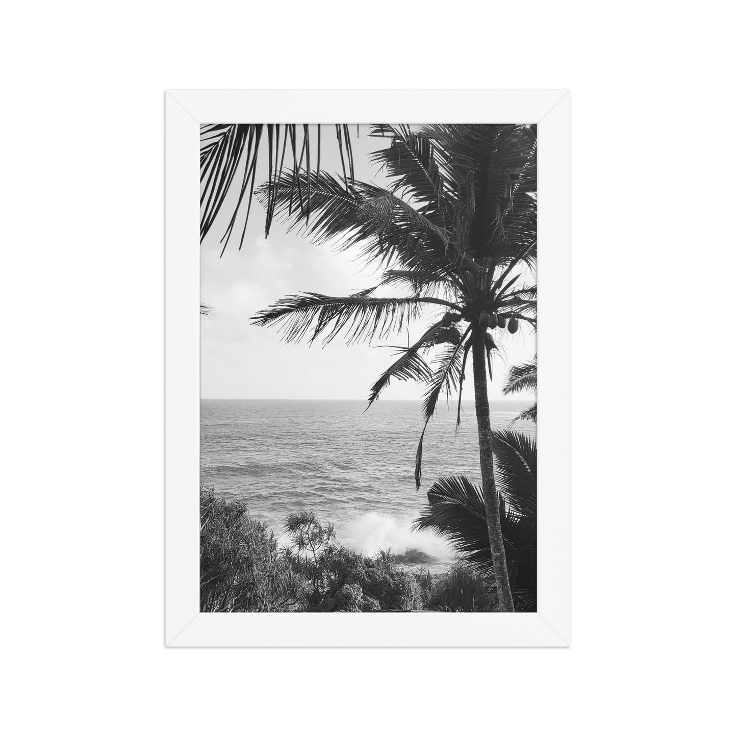 Sea Palms Harmony