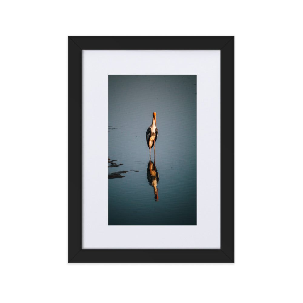 Painted stork