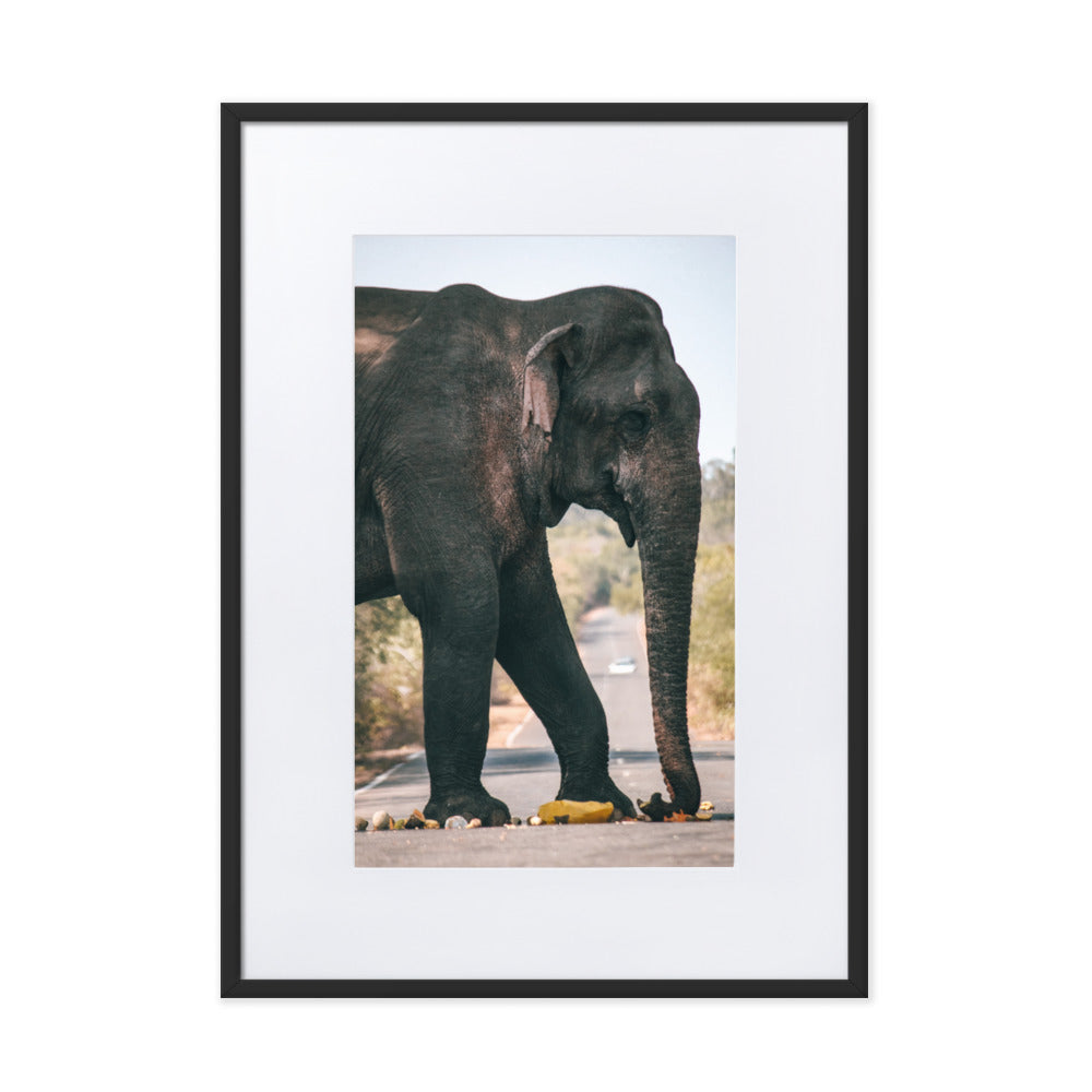 Dumbo crossing by