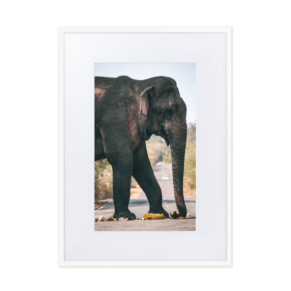 Dumbo crossing by