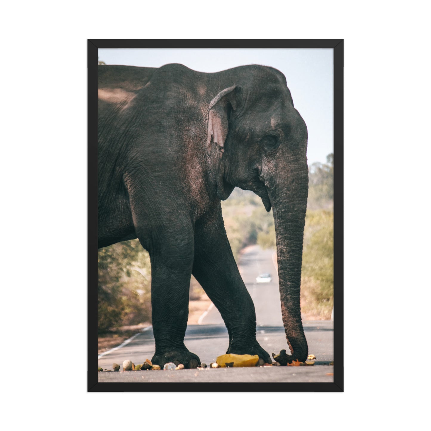 Dumbo crossing by