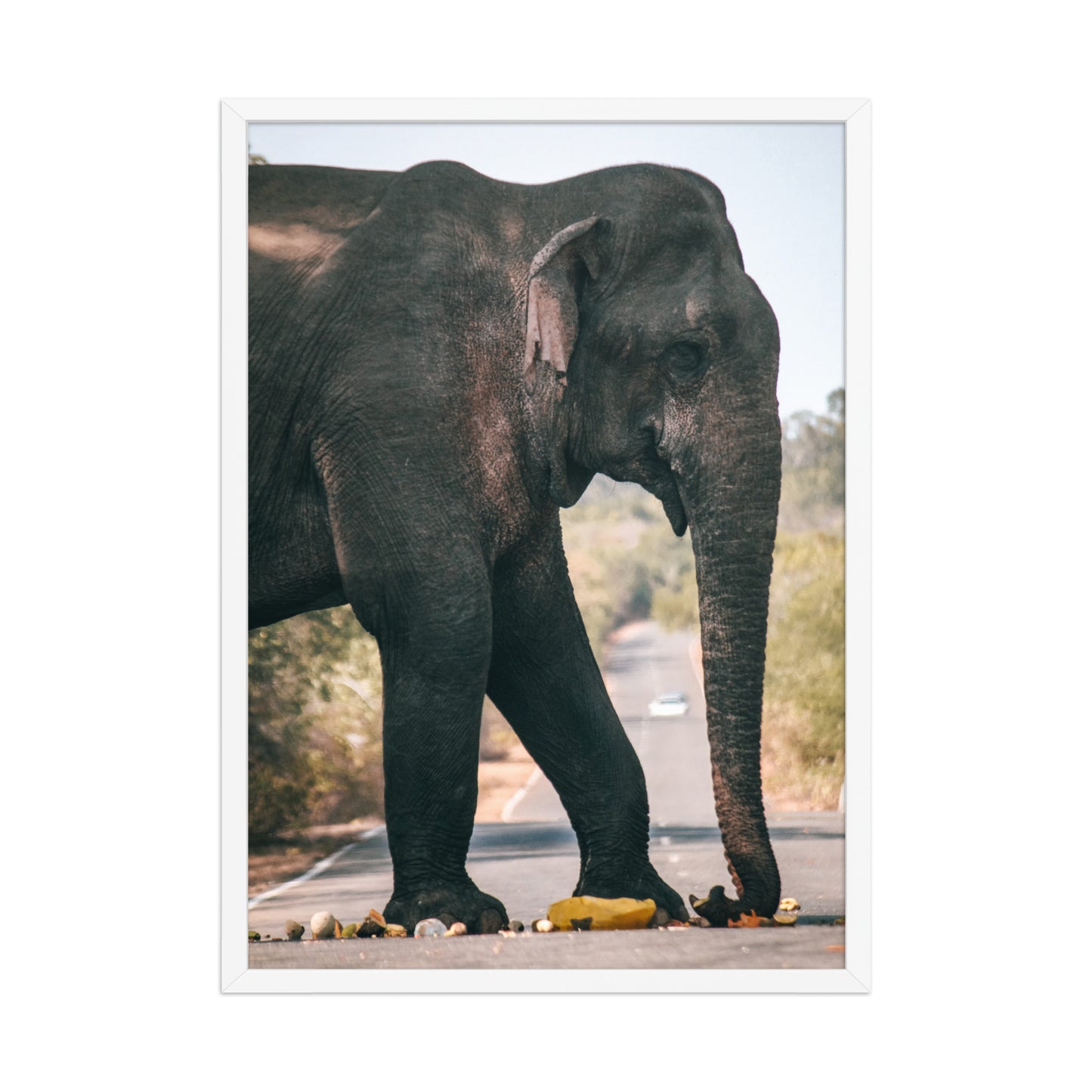 Dumbo crossing by