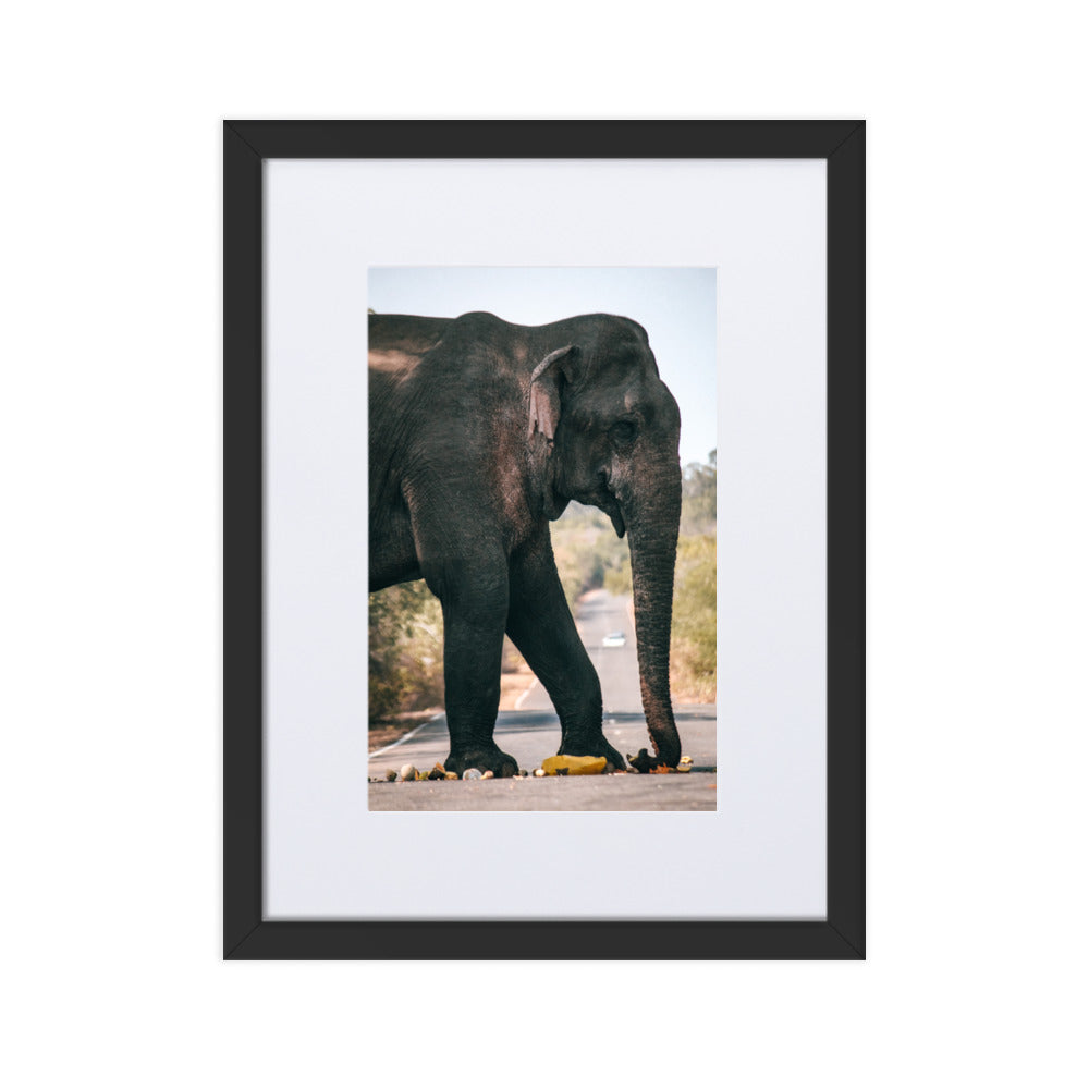Dumbo crossing by