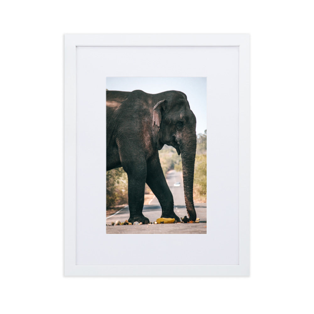 Dumbo crossing by