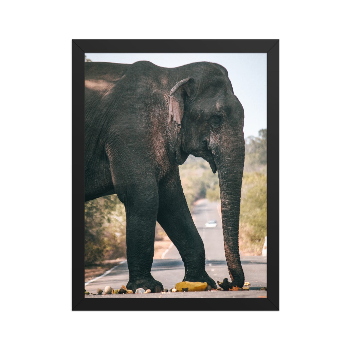 Dumbo crossing by