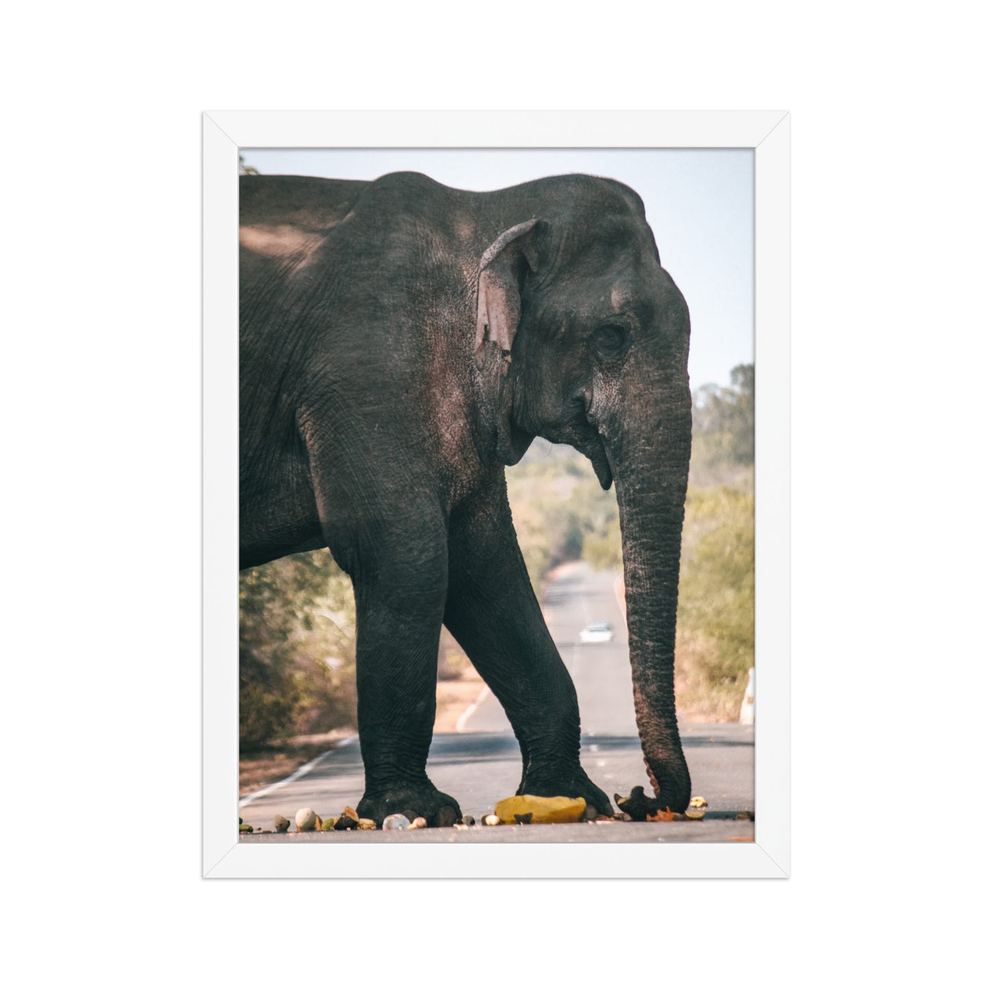 Dumbo crossing by