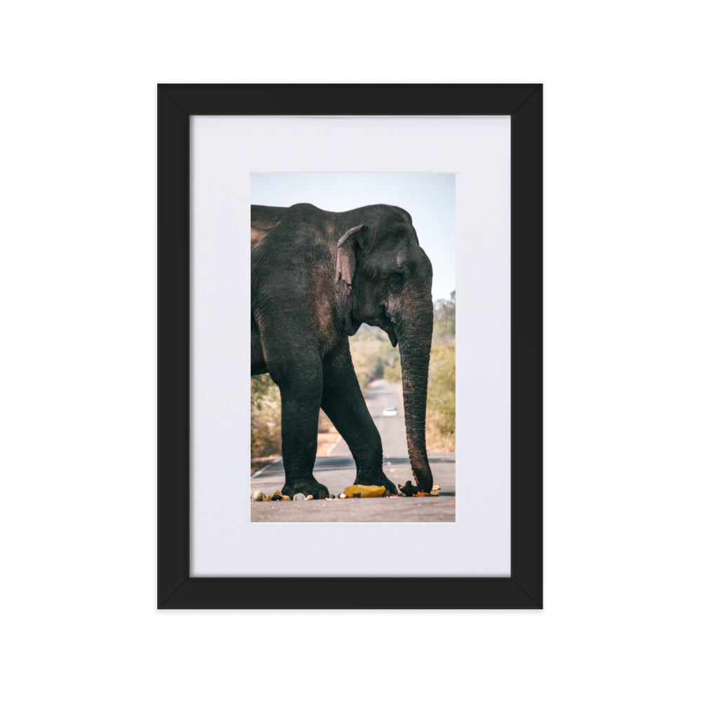 Dumbo crossing by