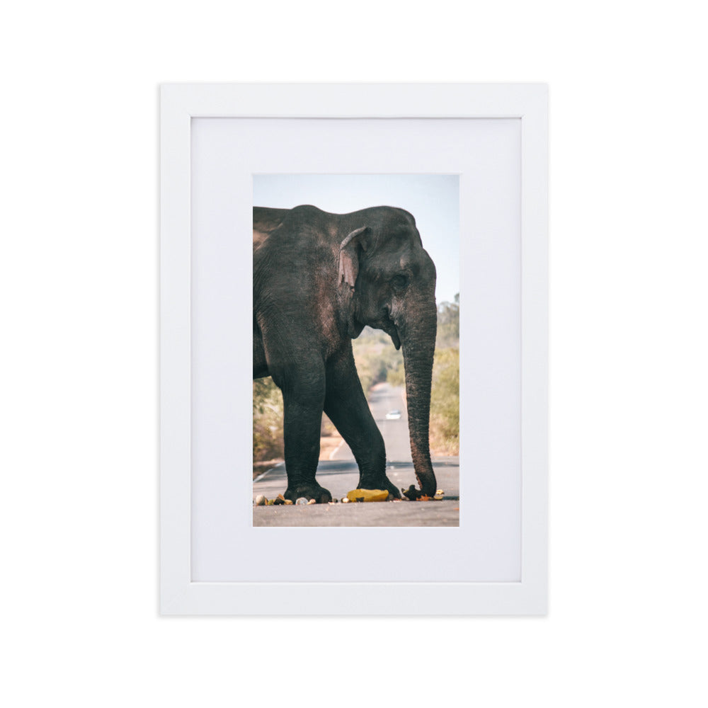 Dumbo crossing by
