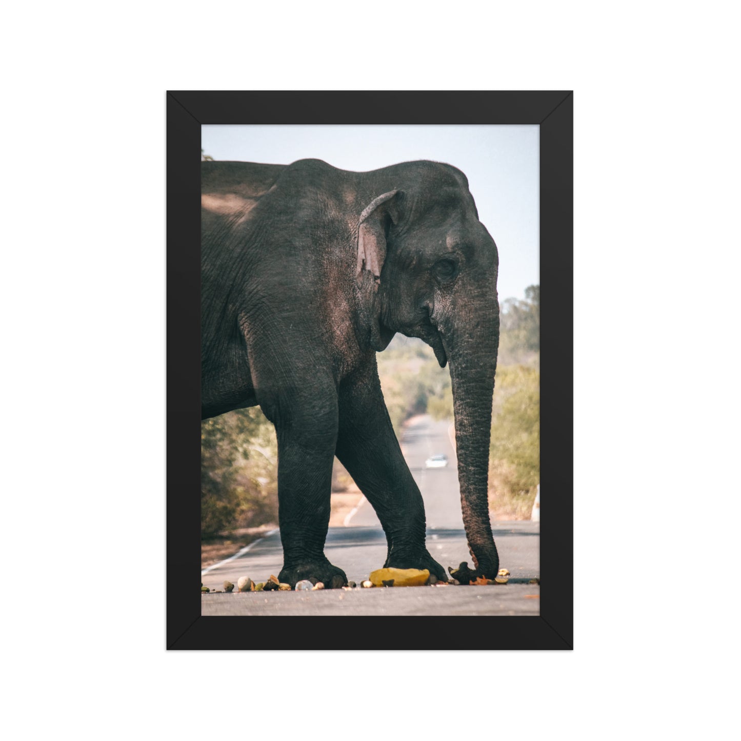 Dumbo crossing by