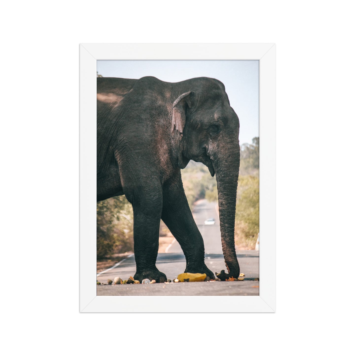 Dumbo crossing by