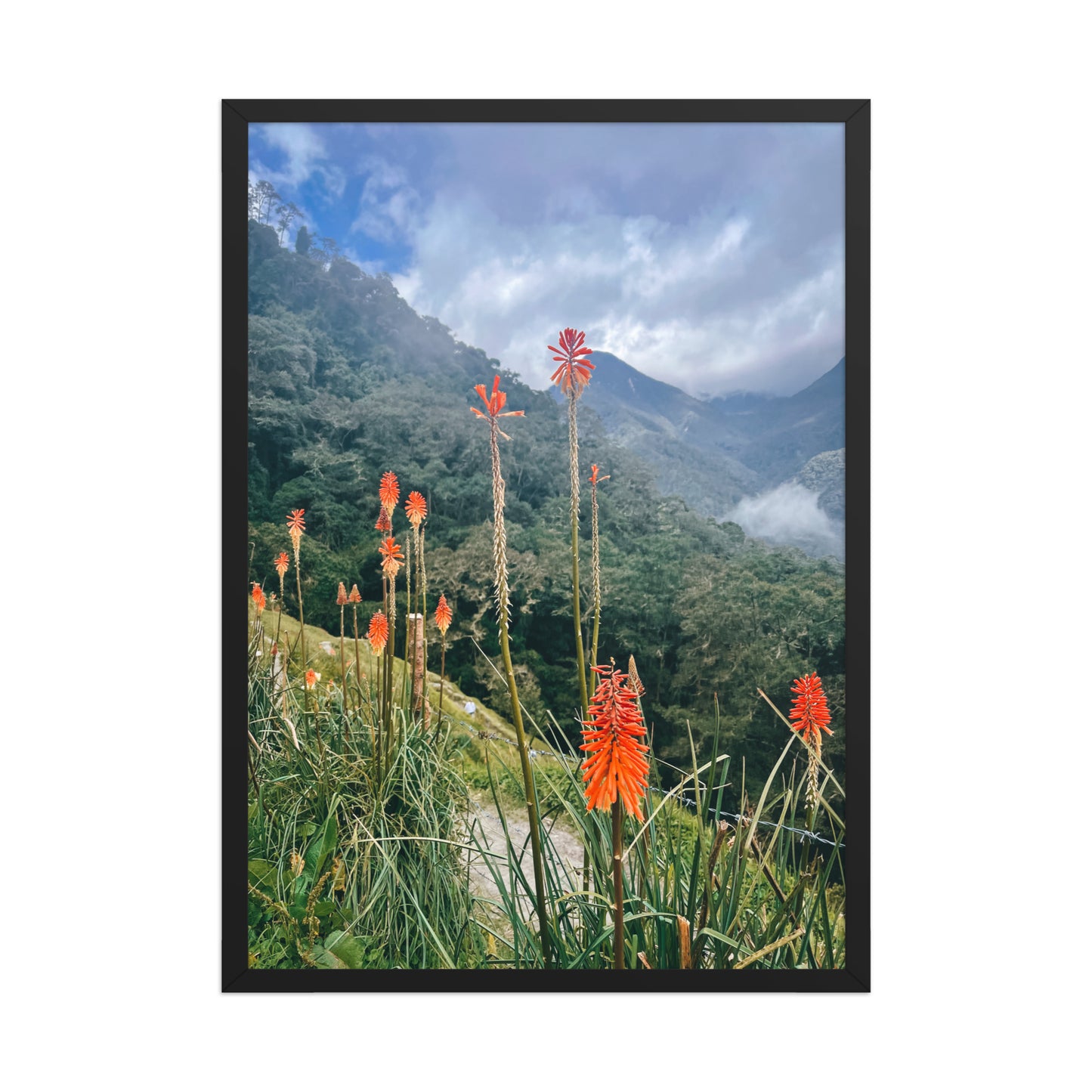 Wildfire Flowers
