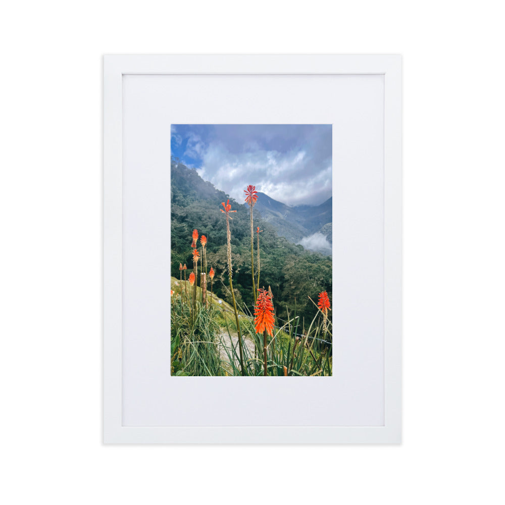 Wildfire Flowers