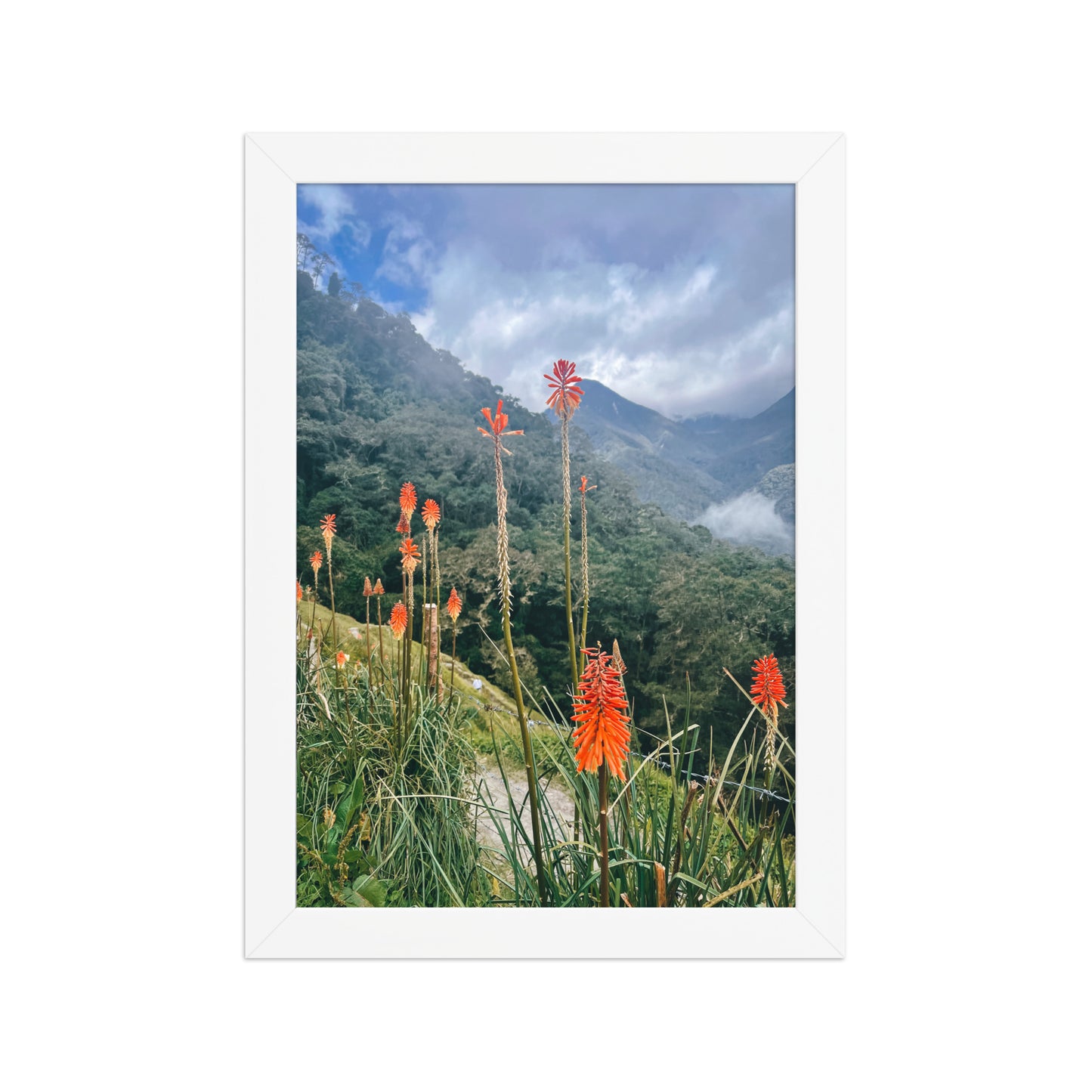 Wildfire Flowers