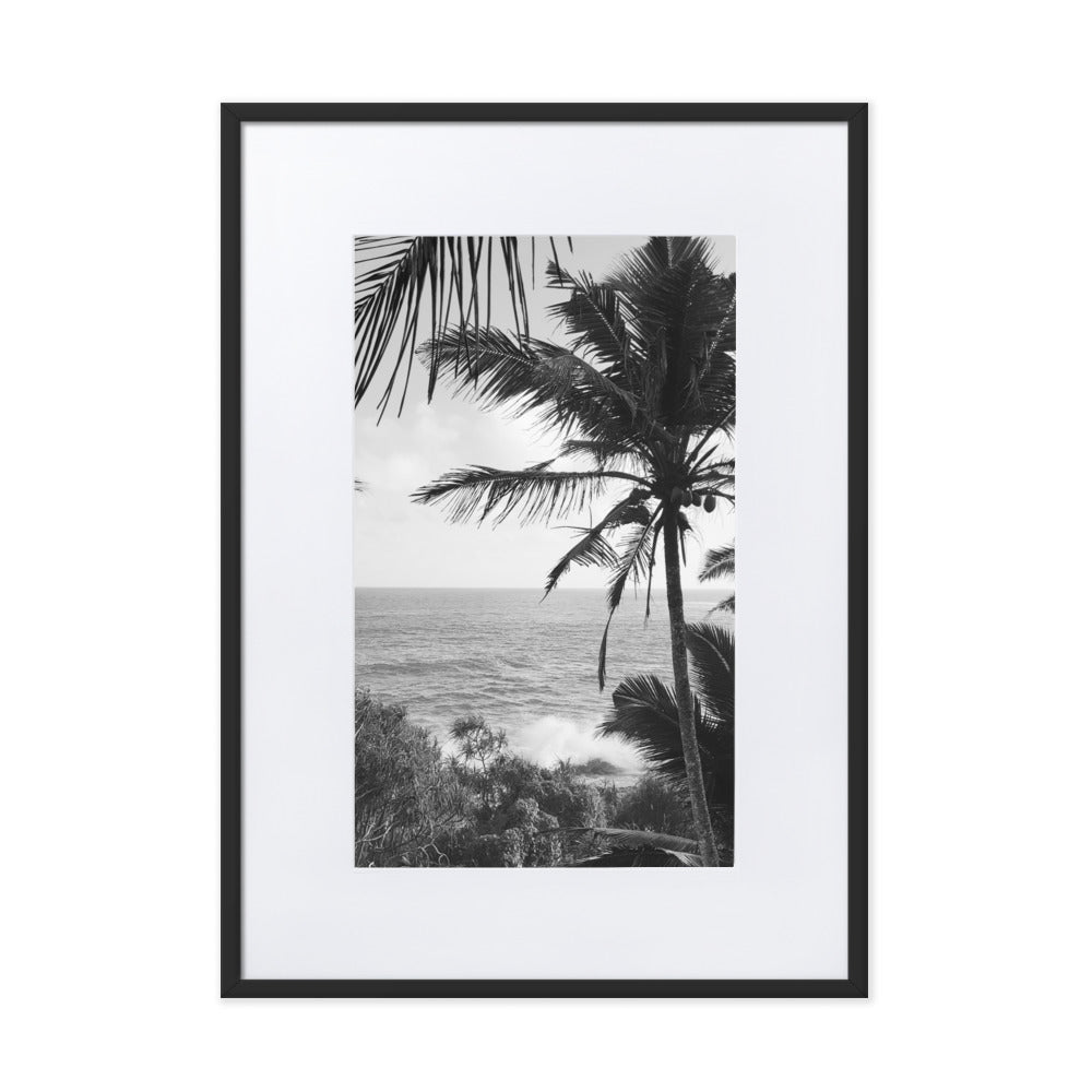 Sea Palms Harmony