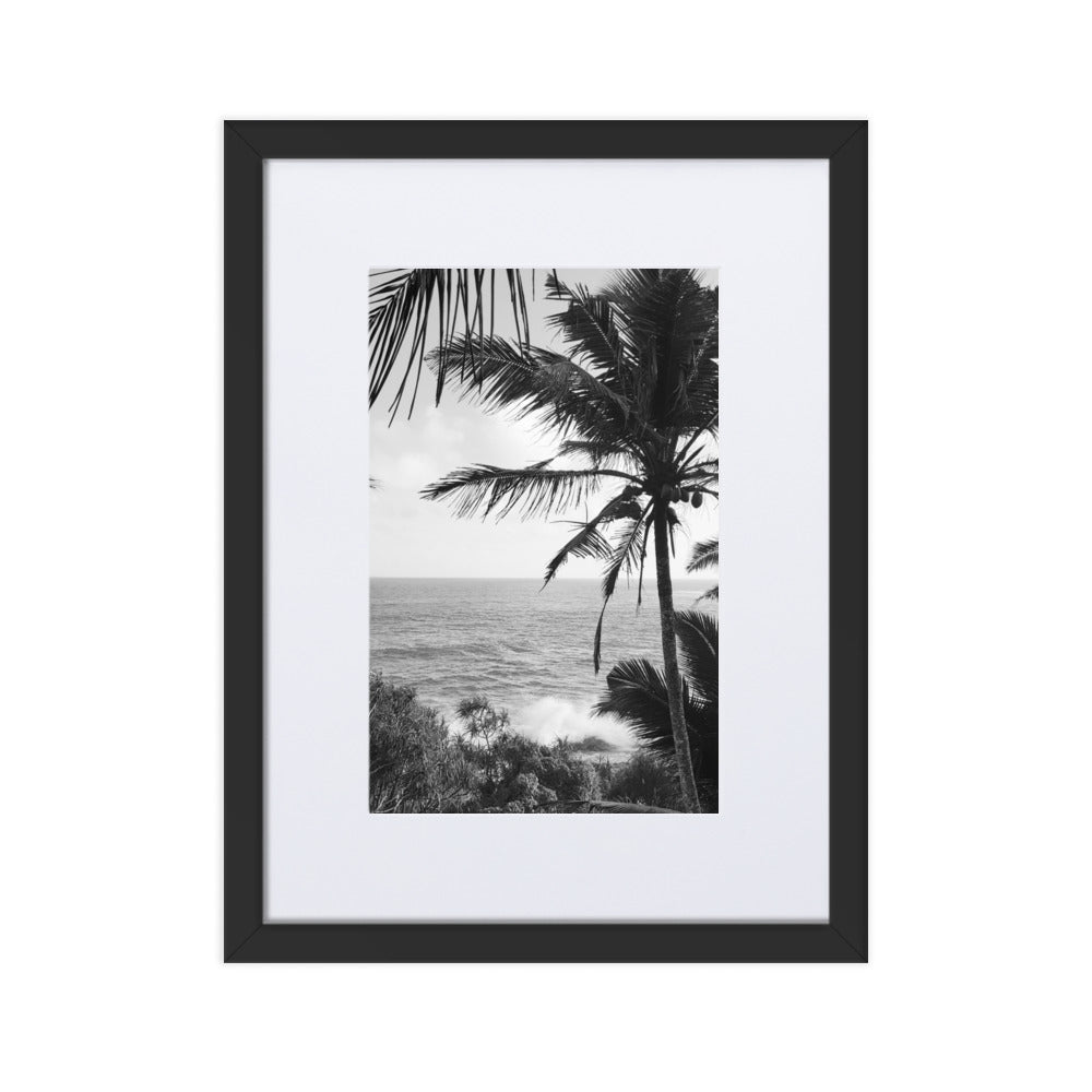 Sea Palms Harmony
