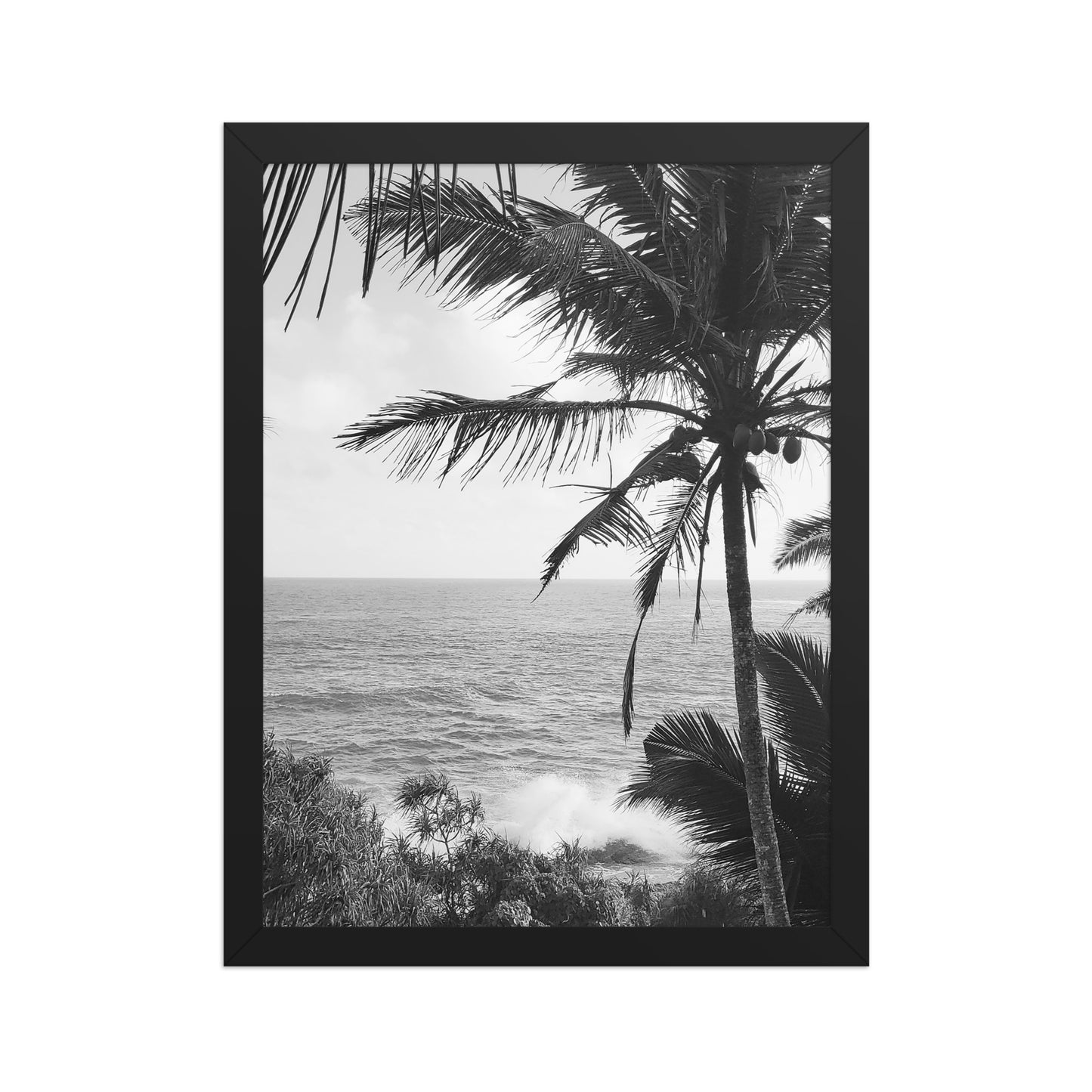 Sea Palms Harmony