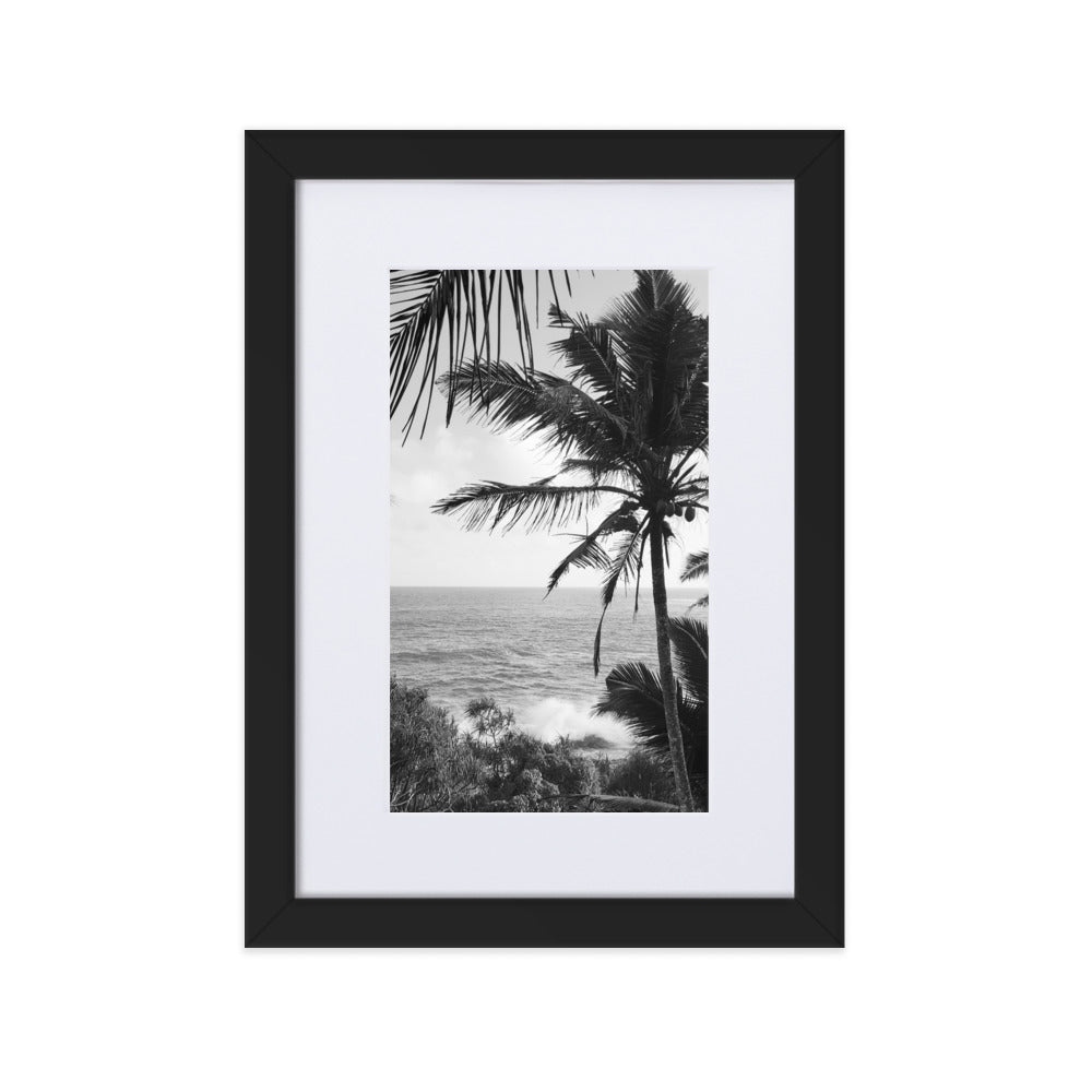Sea Palms Harmony
